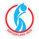 EURO 2025 Abzeichen  + €6,00 